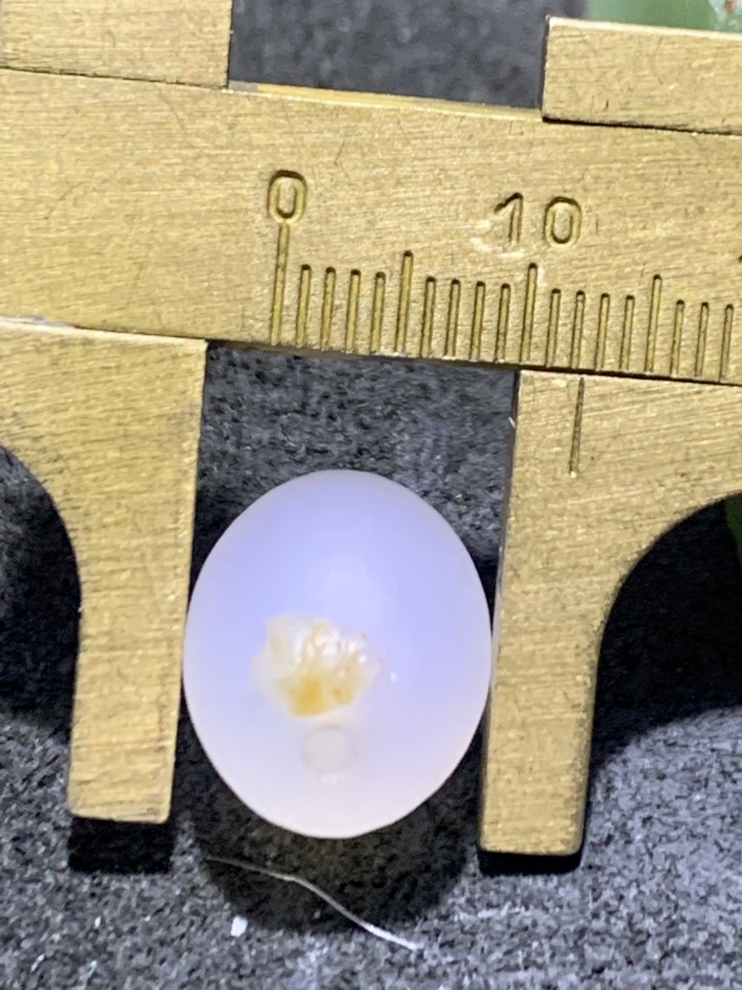 精美亚光高玉化海洋玉髓手工俏色巧雕富贵有余桶珠一个！
