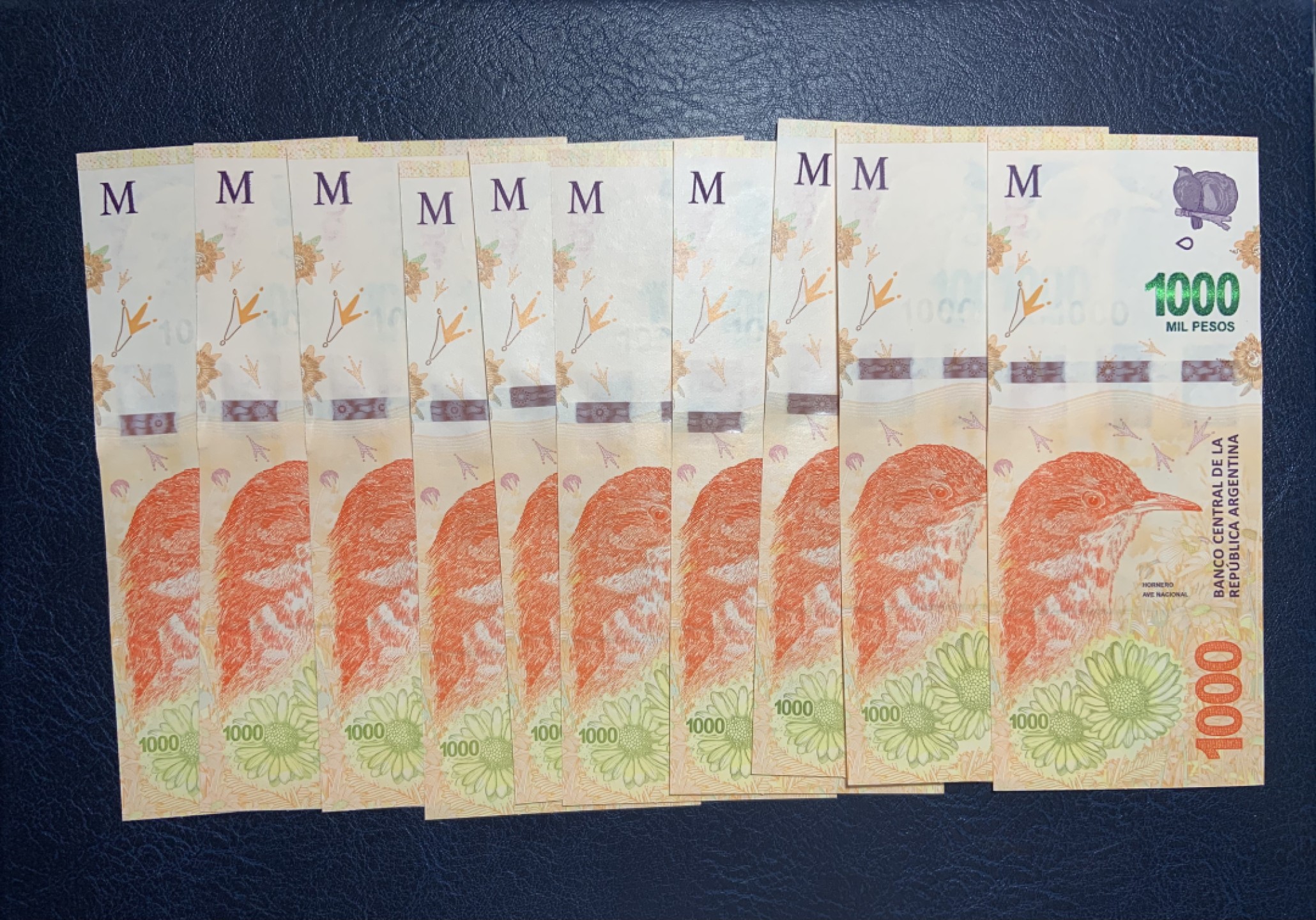 收藏联盟Quantum Auction 第255期拍卖  阿根廷2017版1000比索十张 品相全新UNC 阿根廷国鸟棕灶鸟