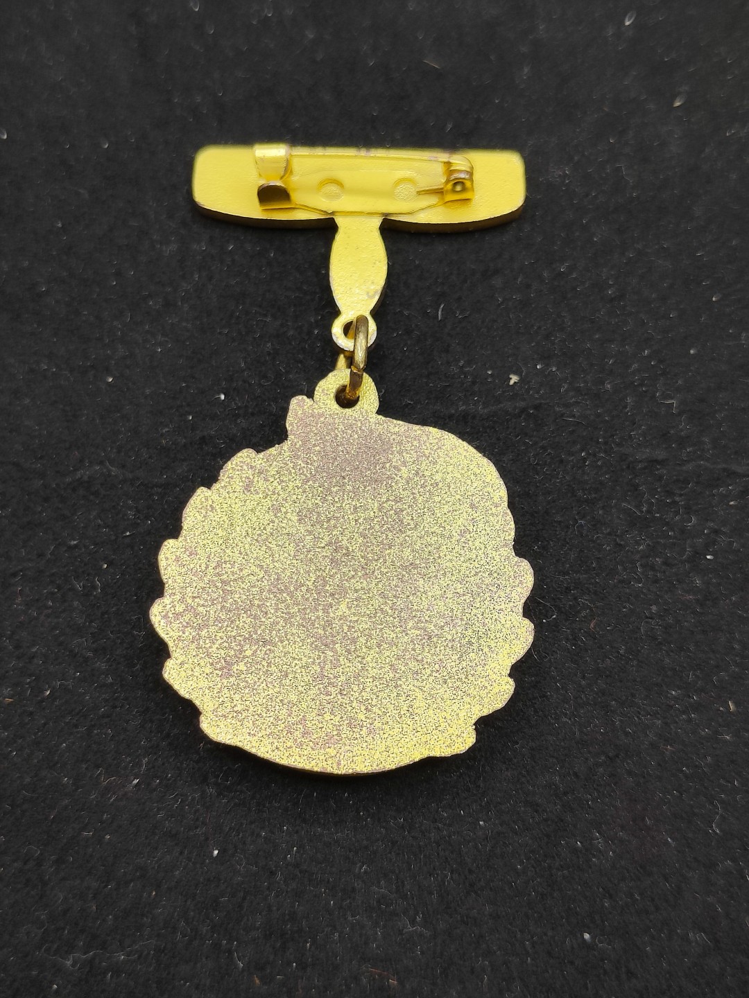 全场0元起拍 第53期 咸鱼国勋章拍卖专场 5月7日（周日）下午6：00开始 少先队奖章 ⭐