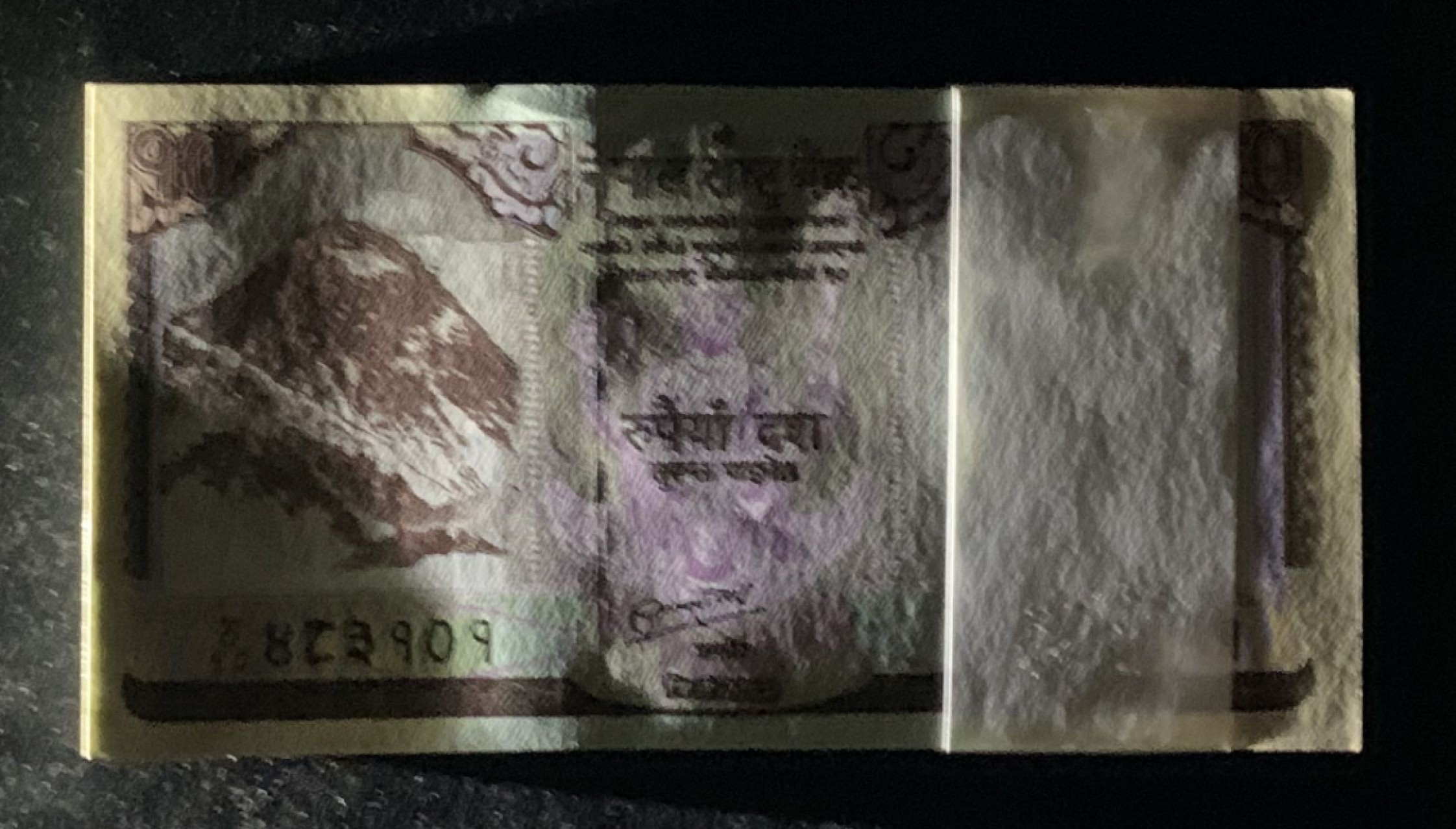 紫瑗钱币——第266期拍卖——纸币场 尼泊尔 2012年 羚羊 10卢比 100枚原封 整刀 一组