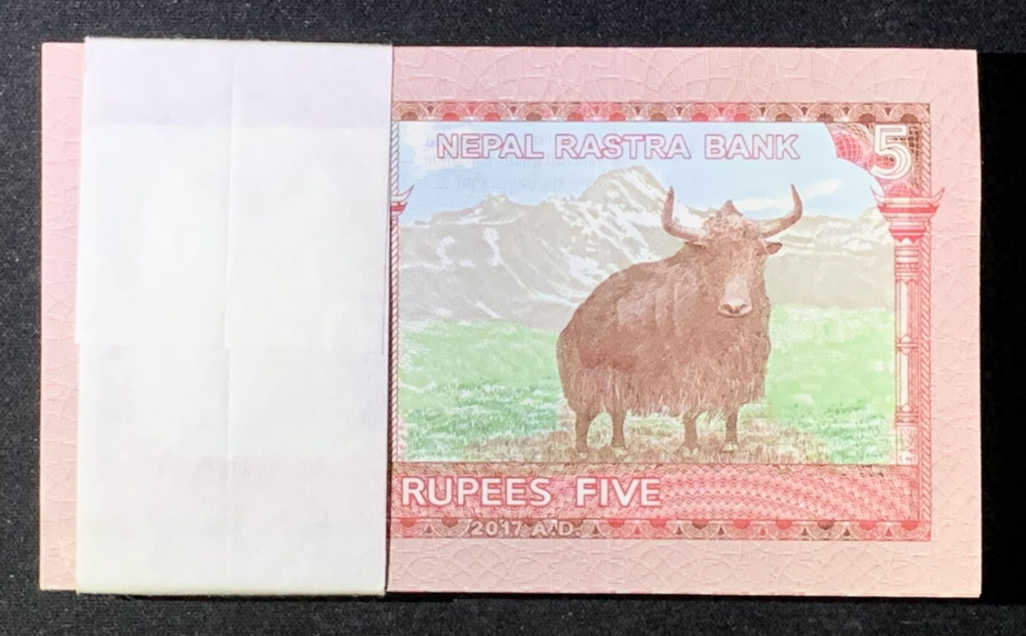 紫瑗钱币——第266期拍卖——纸币场 尼泊尔 2012年 牦牛 5卢比 100枚原封 整刀 一组