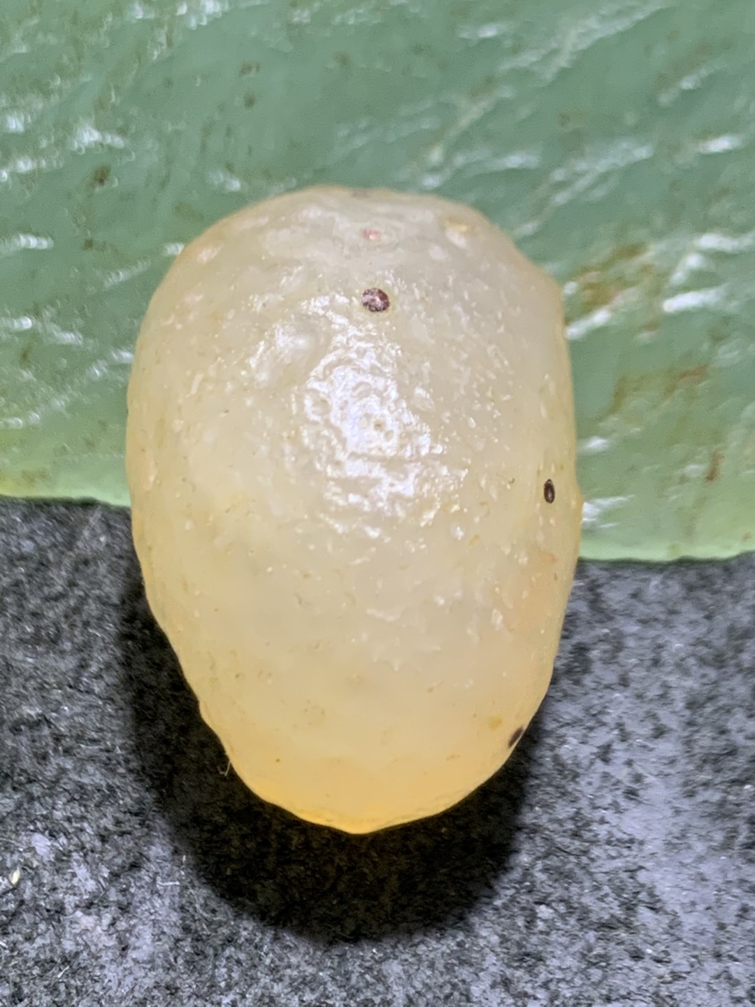 精美天然戈壁麻皮白玛瑙原石一颗