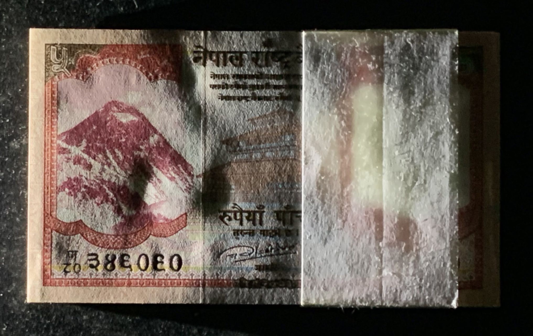 紫瑗钱币——第266期拍卖——纸币场 尼泊尔 2012年 牦牛 5卢比 100枚原封 整刀 一组