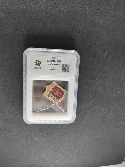 崇实勋章拍卖所（第13期天津发货） - 苏联小徽章