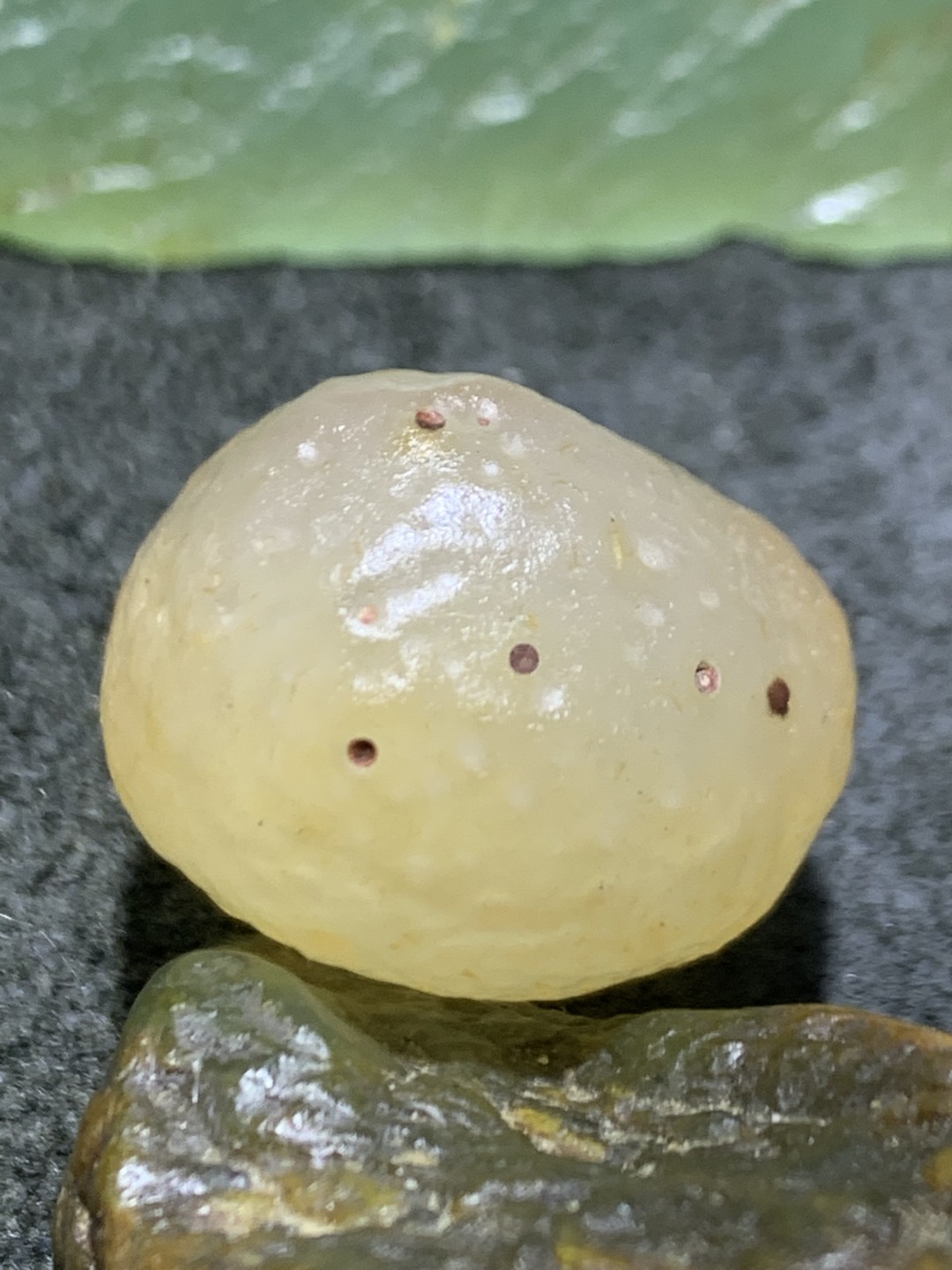 精美天然戈壁麻皮白玛瑙原石一颗