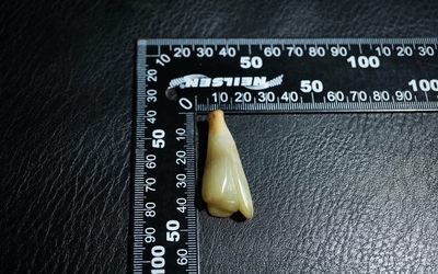 玉石翡翠玛瑙｜拍卖专场 明清工老和田玉兰花挂件