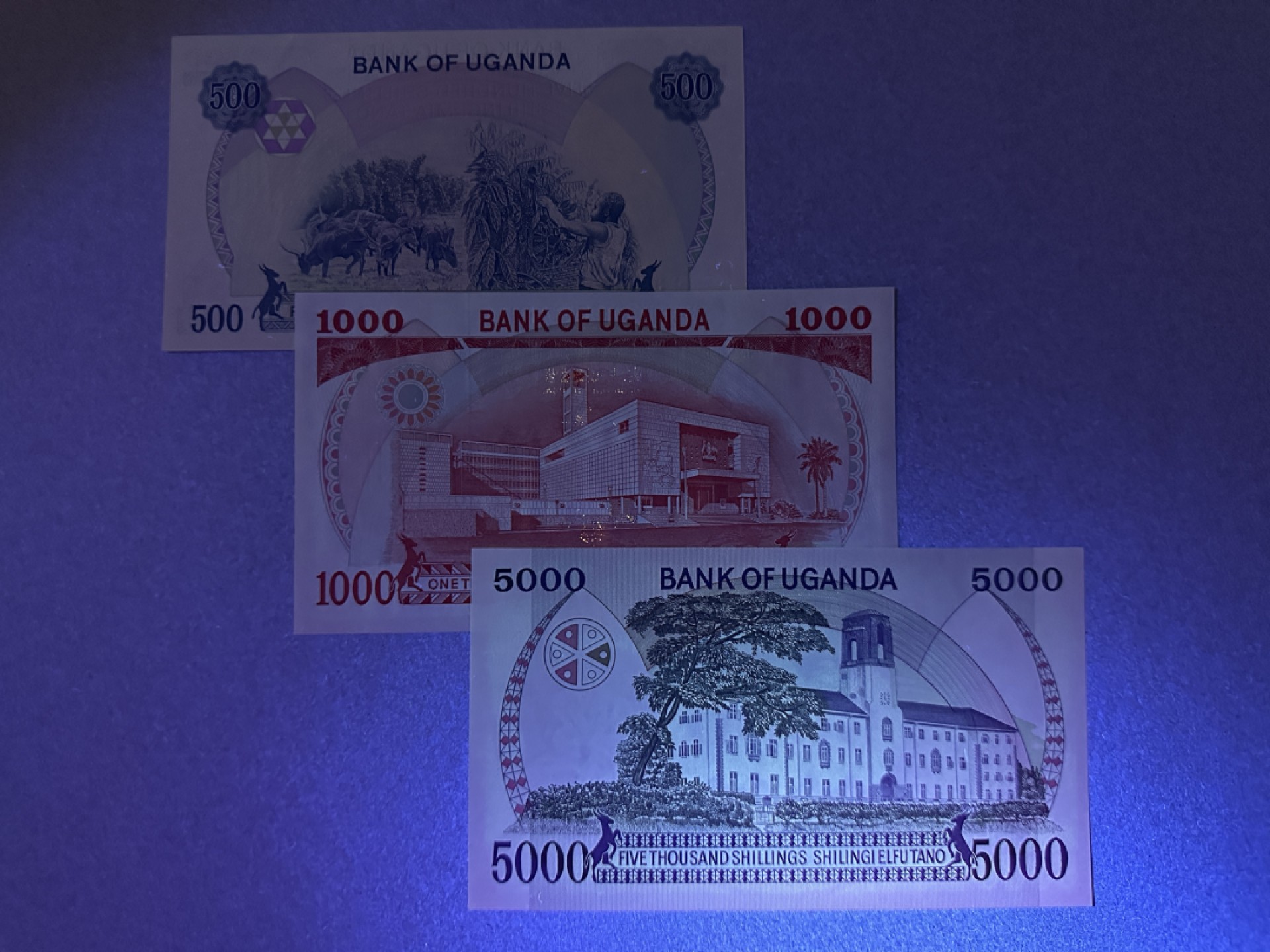 《张总收藏》99期——外币精品100拍 乌干达500、1000、5000先令3张 UNC 1983年版