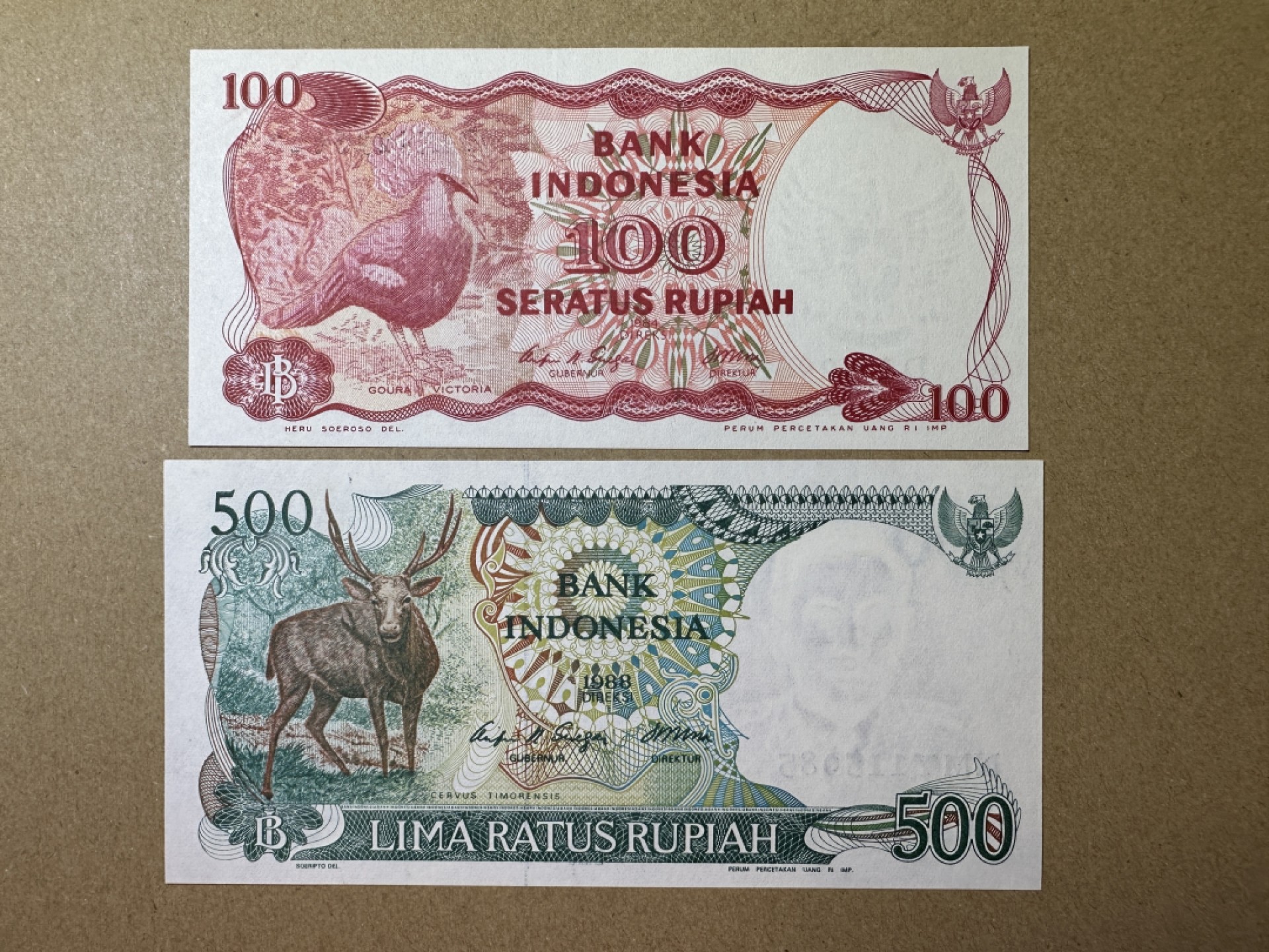 《张总收藏》99期——外币精品100拍 印度尼西亚100、500盾2张 UNC 1984年版本