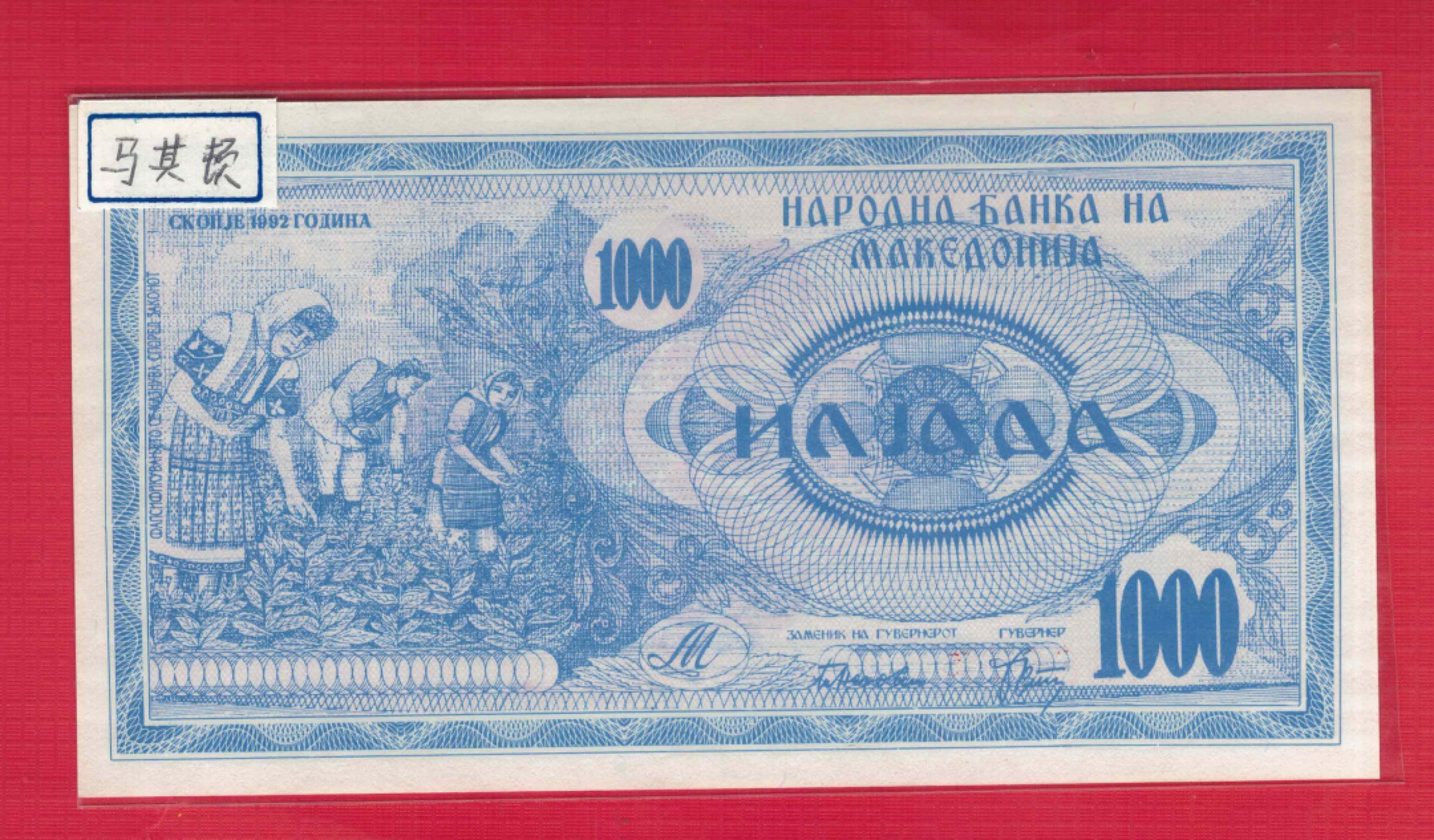 马其顿1000第纳尔 1992年 克劳斯目录P-6a 欧洲纸币 实物如图 UNC