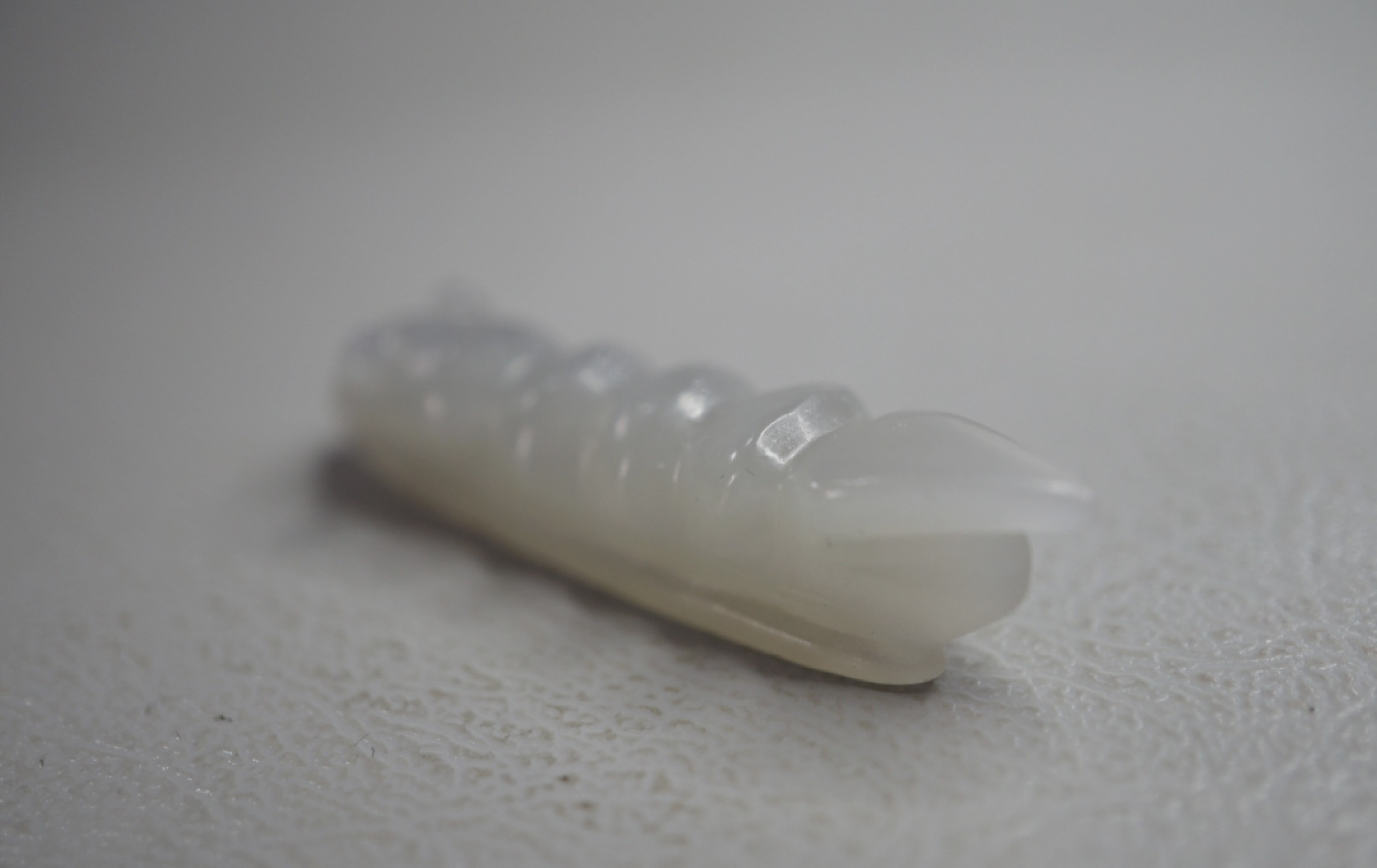 玉石手串文玩杂件 和田玉玉蚕挂件