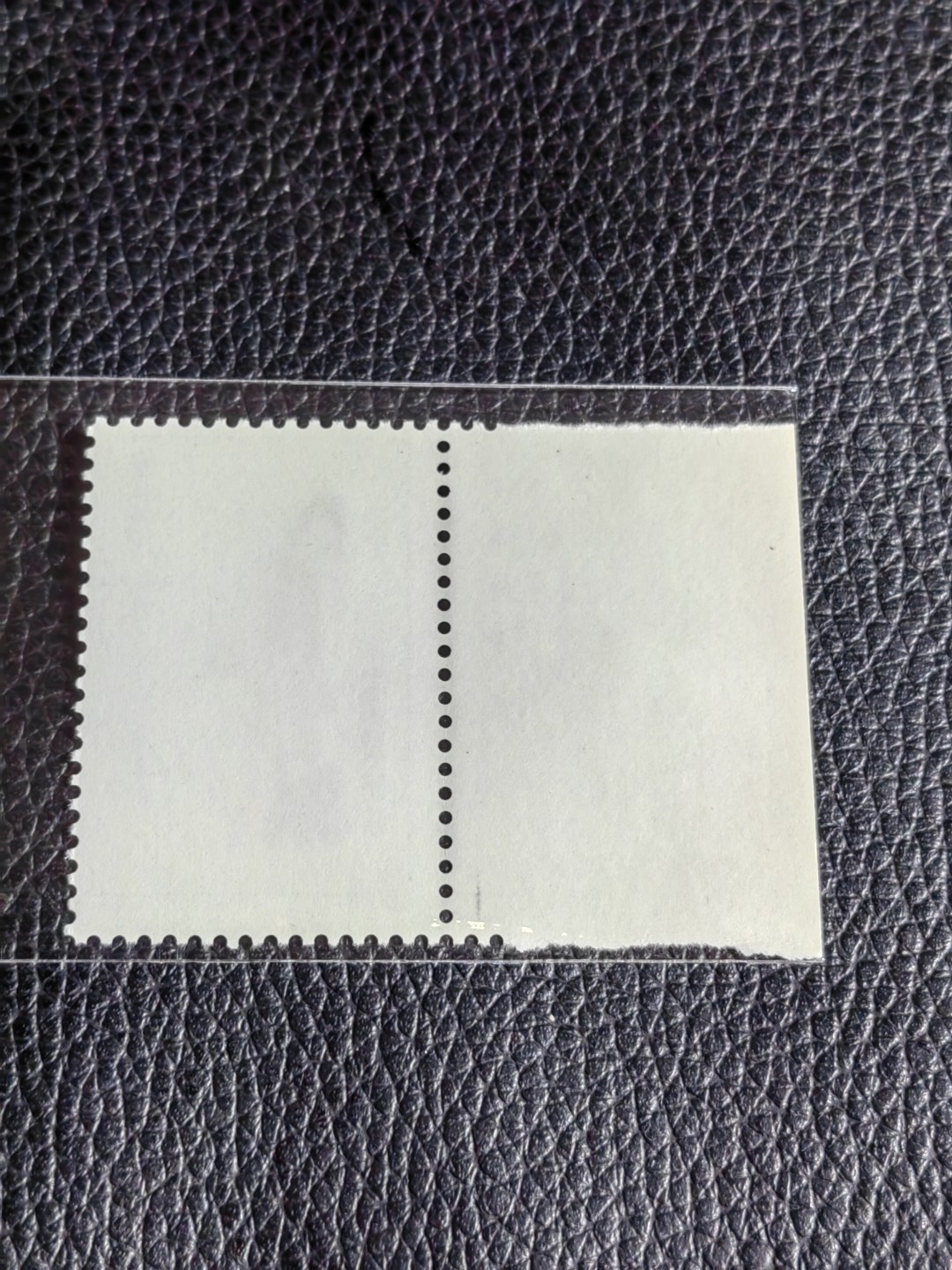 洪涛臻品批发群  精选邮票限时拍卖第二百五十五期 T69红楼梦新 12-2 厂名一枚，版撕全品嘎嘎绝，评级品相，JT精品热门票，厂名三俗稀缺货，版撕精品藏家首选，喜欢不要错过