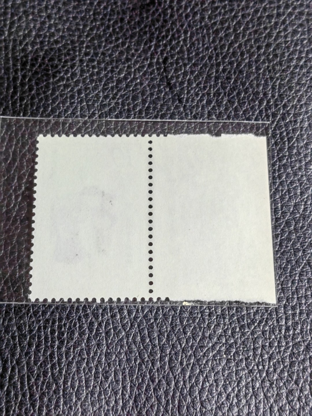 洪涛臻品批发群  精选邮票限时拍卖第二百五十五期 T69红楼梦新 12-8 厂名一枚，版撕全品嘎嘎绝，评级品相，JT精品热门票，厂名三俗稀缺货，版撕精品藏家首选，喜欢不要错过