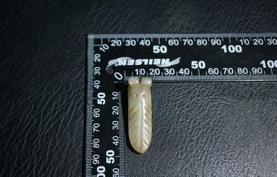 玉石翡翠玛瑙｜拍卖专场 明清工老和田玉玉蝉把件