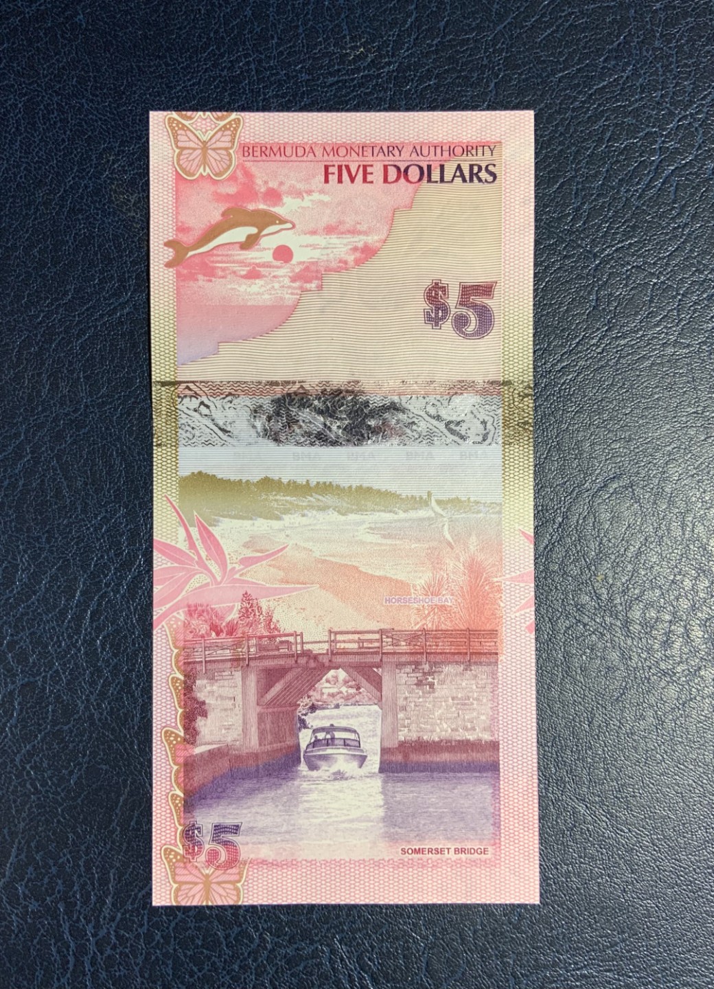 收藏联盟Quantum Auction 第256期拍卖  百慕大群岛2009年5元首发洋葱冠 品相UNC 边角微瑕 (角波浪为原始印刷原因)