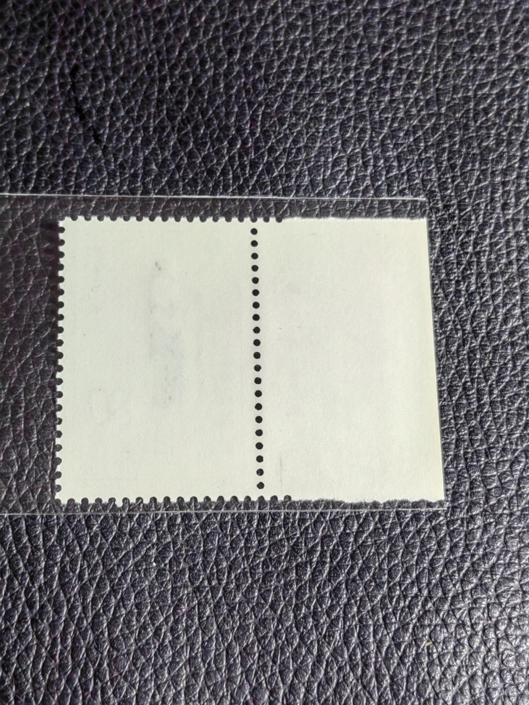 洪涛臻品批发群  精选邮票限时拍卖第二百五十五期 T69红楼梦新 12-12 厂名一枚，版撕全品嘎嘎绝，评级品相，JT精品热门票，厂名三俗稀缺货，版撕精品藏家首选，喜欢不要错过