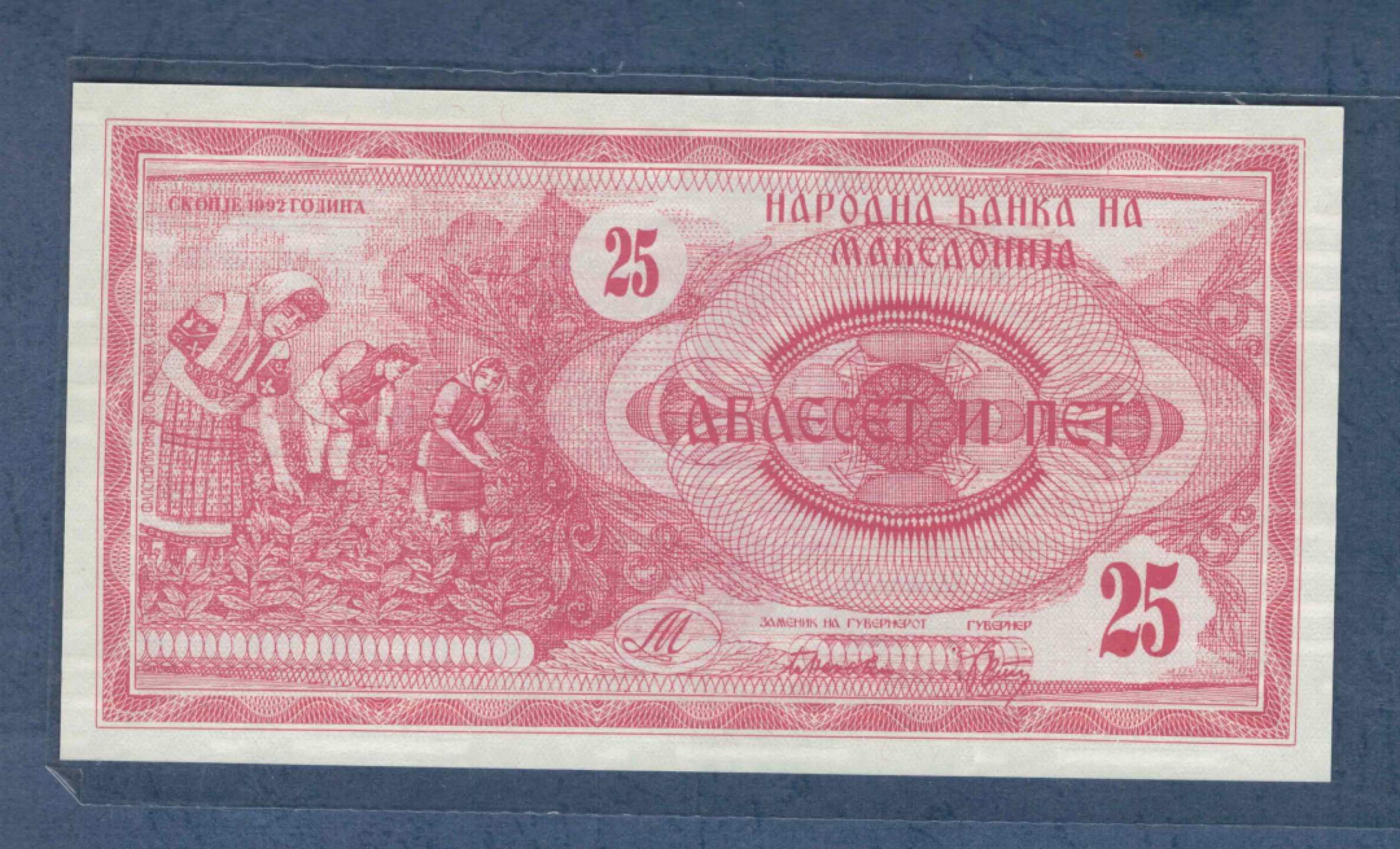 马其顿25第纳尔 1992年 77双尾 克劳斯P-2 欧洲纸币 实物图 UNC