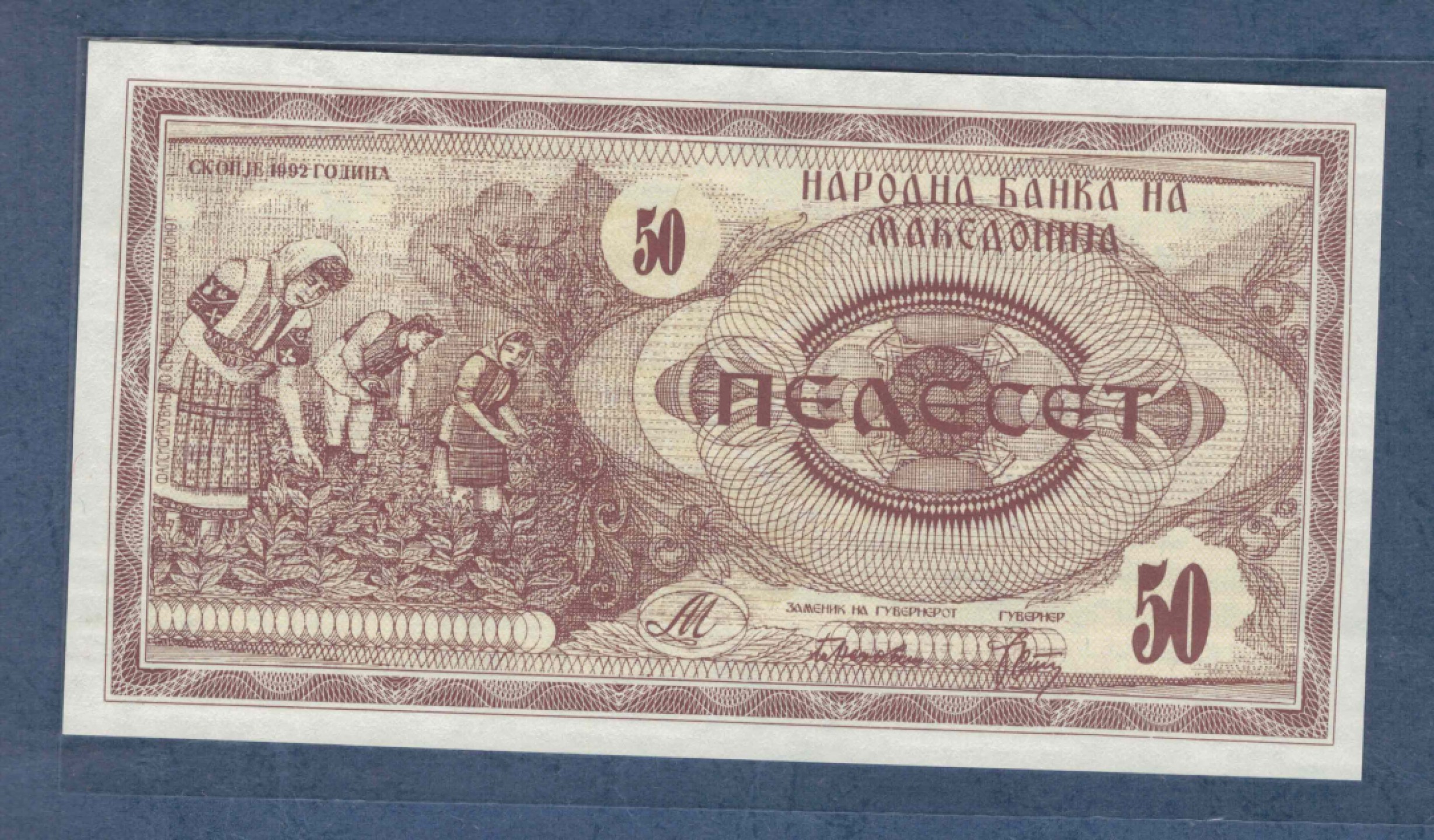 马其顿50第纳尔 1992年 克劳斯P-3 欧洲纸币 实物图 UNC