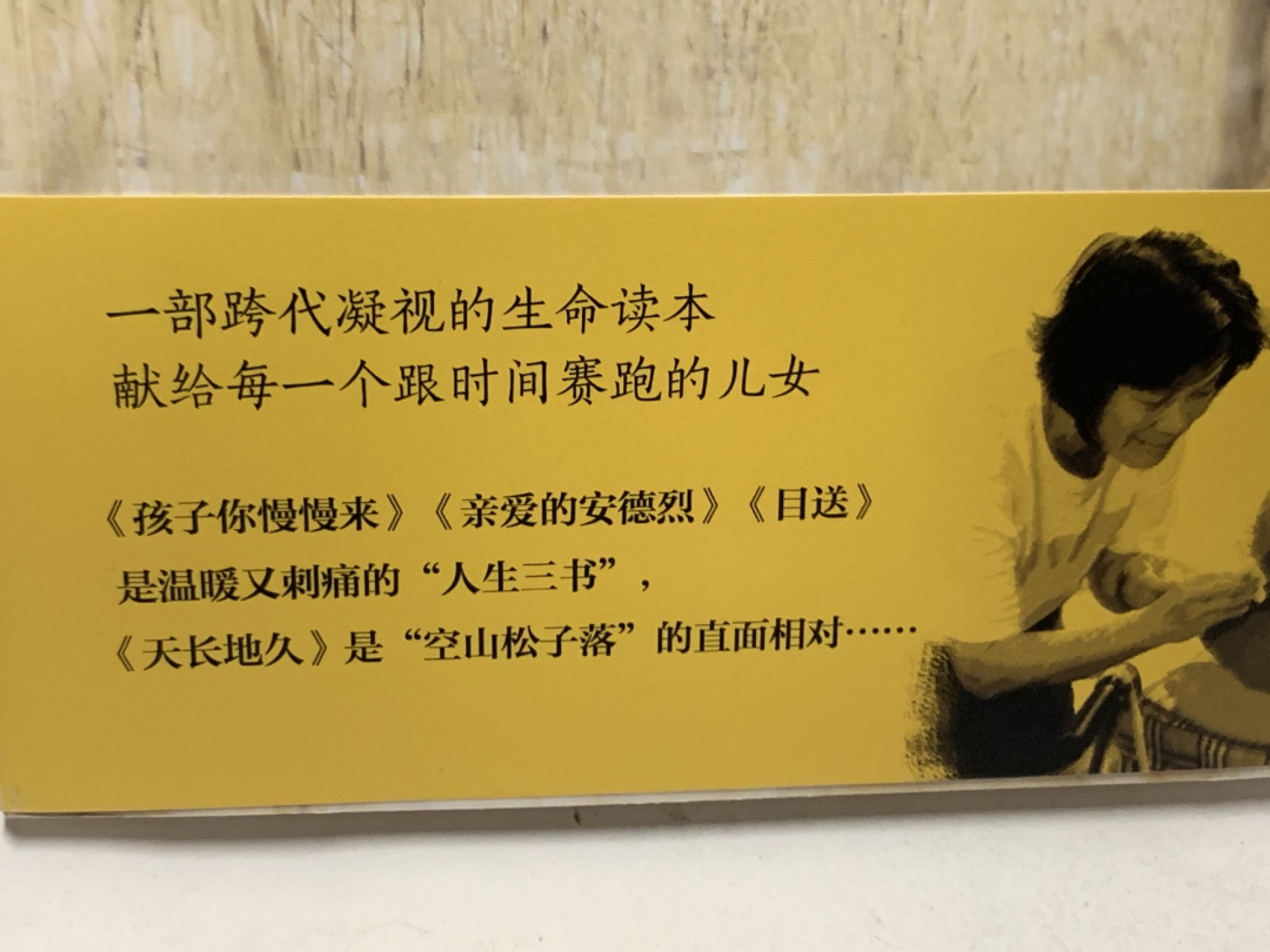 零元拍：台湾著名作家 龙应台 亲笔签名著书《天长地久-给美君的信》