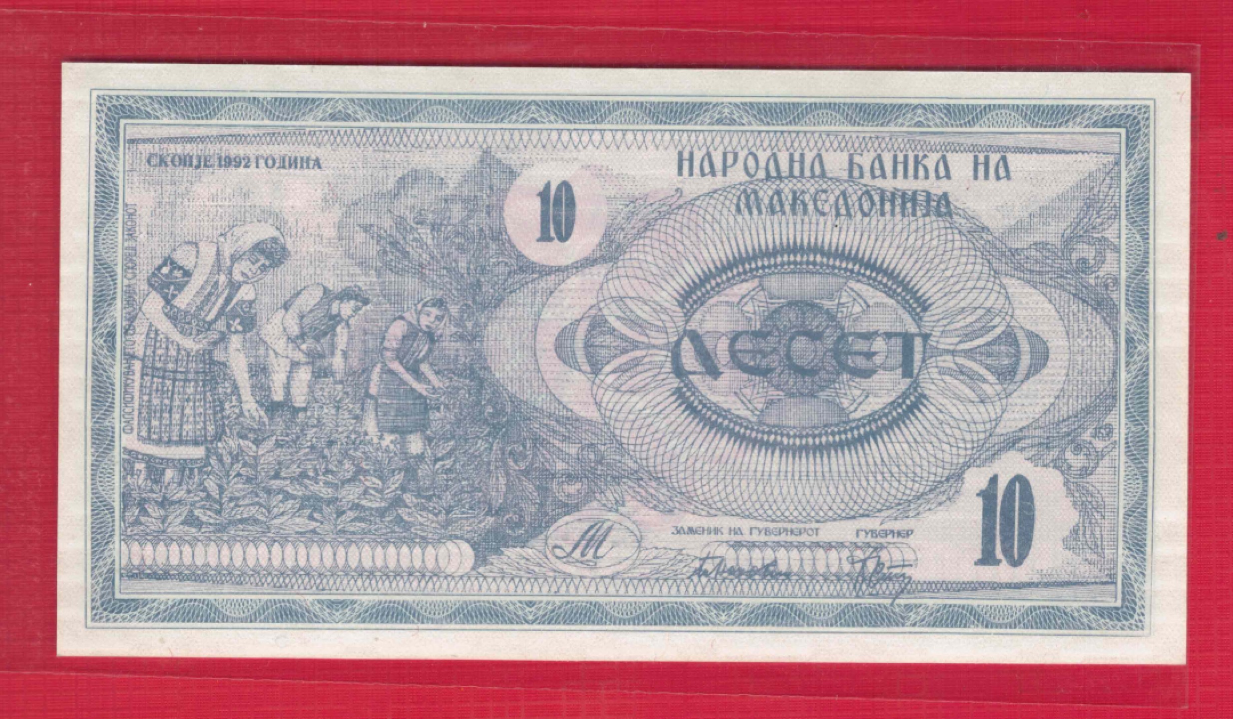 马其顿10第纳尔 1992年 欧洲纸币 实物如图 UNC
