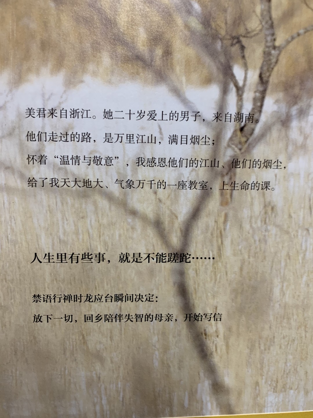 零元拍：台湾著名作家 龙应台 亲笔签名著书《天长地久-给美君的信》