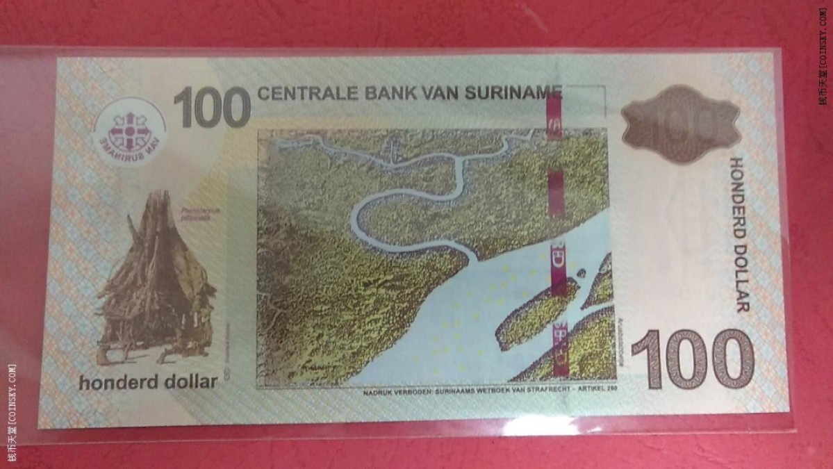 苏里南100元 2012年 美洲纸币 实物图 UNC