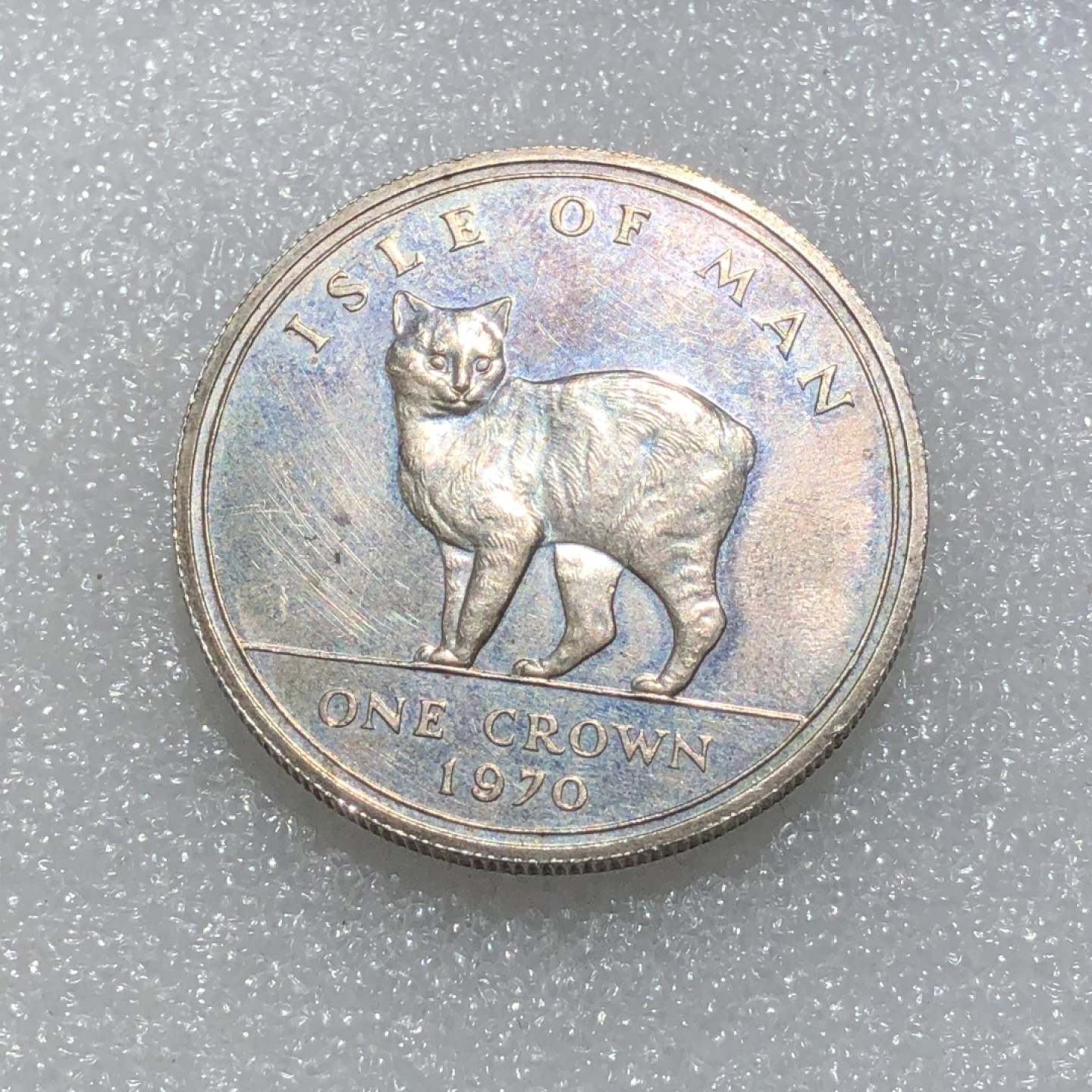 环球钱币第003场 92.5%银马恩岛世界名猫1克朗银币