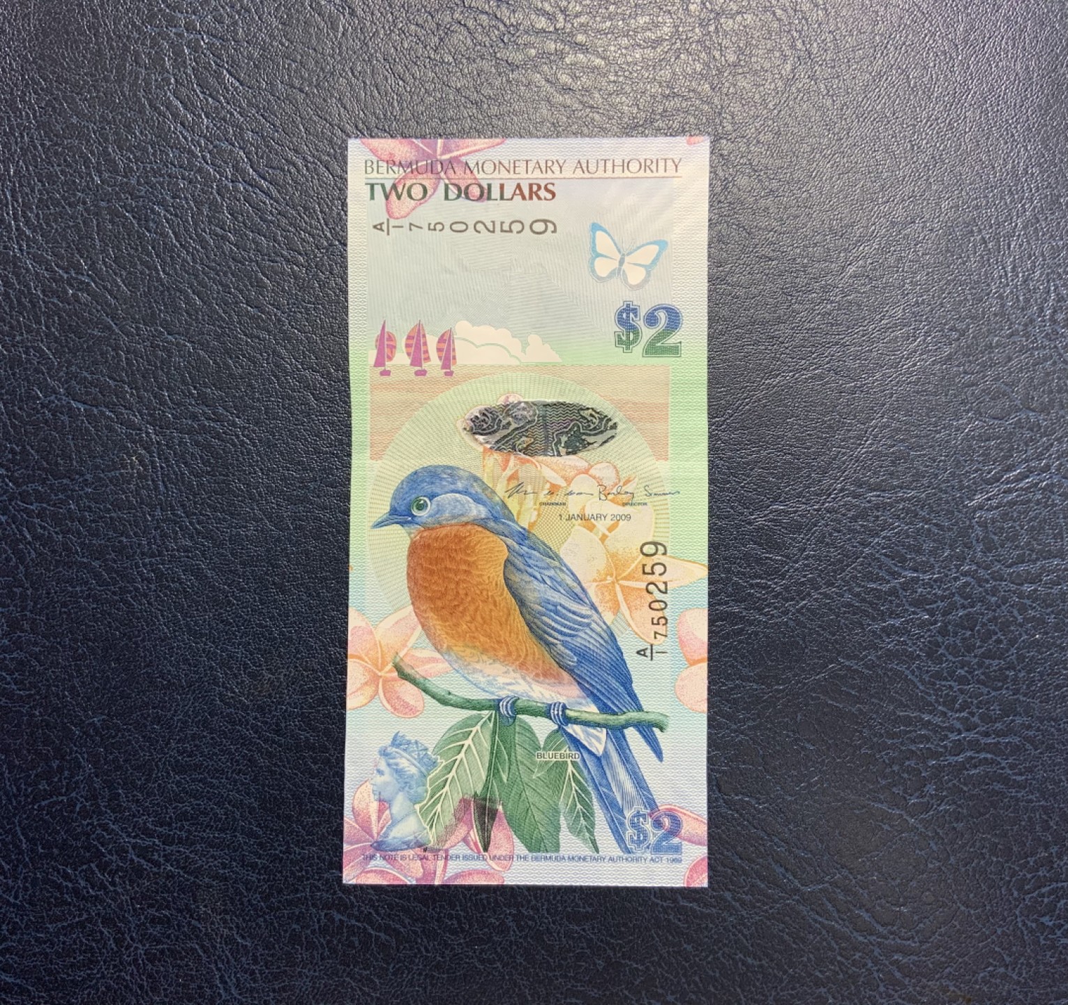 收藏联盟Quantum Auction 第257期拍卖  百慕大2008年2元 品相全新UNC A/1冠 IBNS获奖作品 蓝鸟