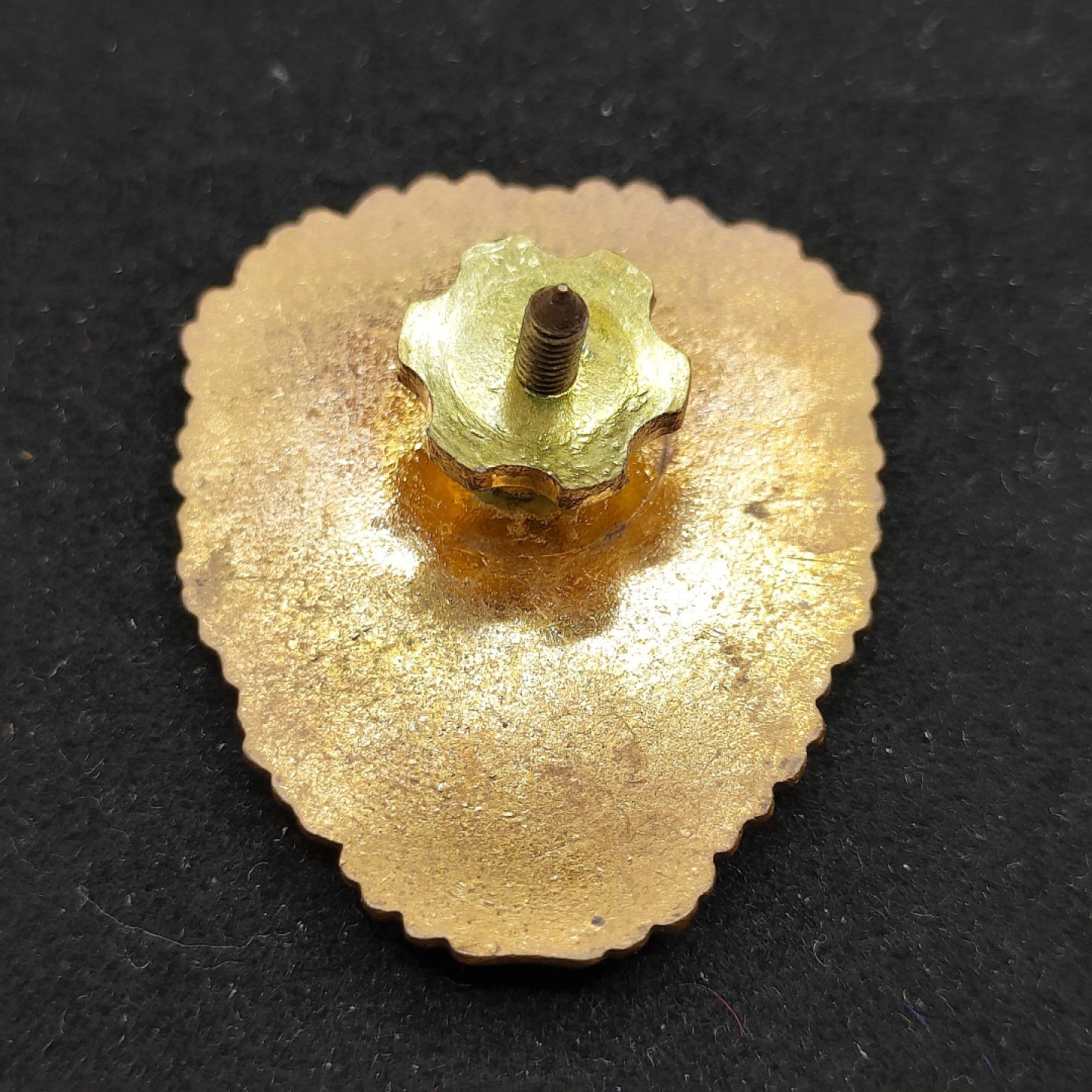 全场0元起拍 第54期 咸鱼国勋章拍卖专场 5月10日（周三）下午6：00开始 罗马尼亚优秀士兵证章 转轮珐琅-