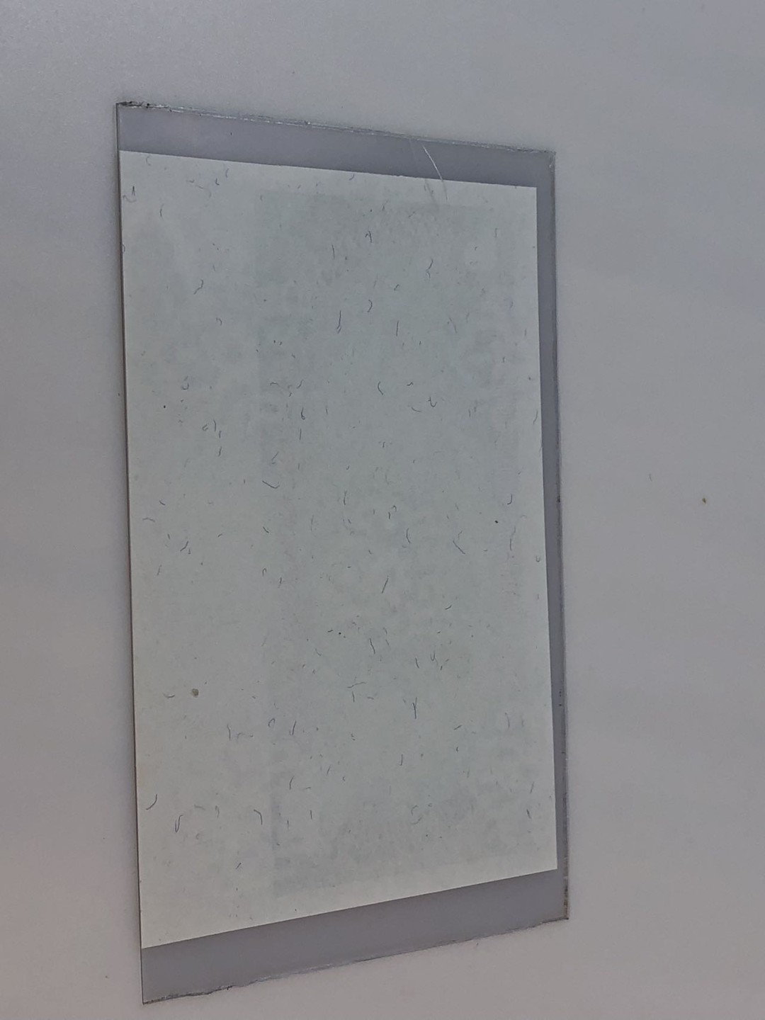 【三泉🏦Quan Se】拍卖第十三期⚖️ 越南1985年5盾“试样票”带边纸【UNC】