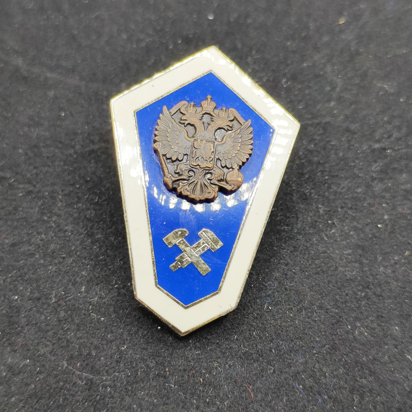 全场0元起拍 第54期 咸鱼国勋章拍卖专场 5月10日（周三）下午6：00开始 俄罗斯理工学院毕业证章-