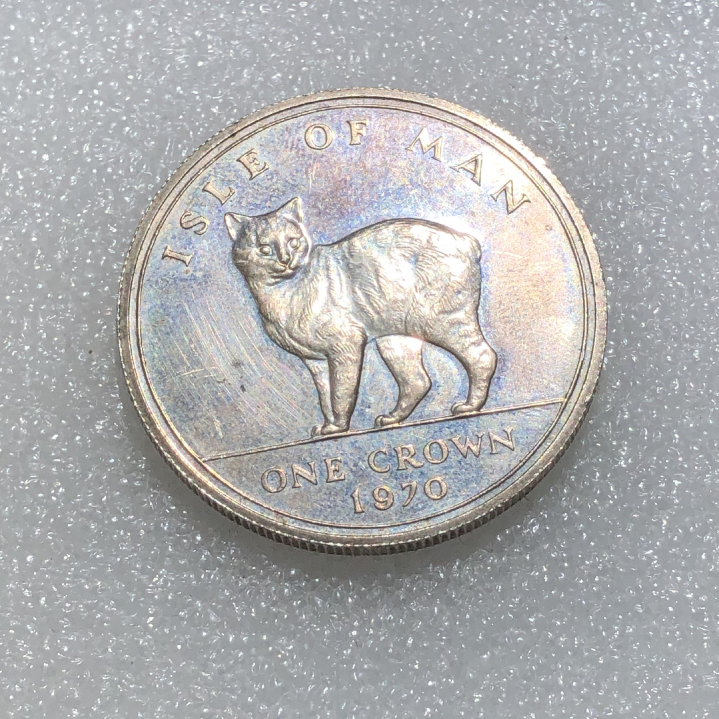 环球钱币第003场 92.5%银马恩岛世界名猫1克朗银币