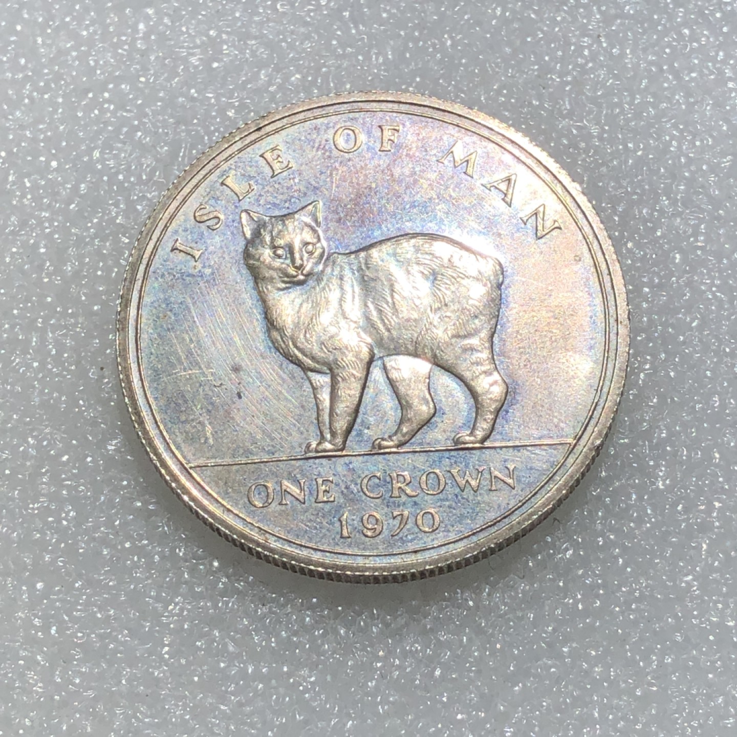 环球钱币第003场 92.5%银马恩岛世界名猫1克朗银币