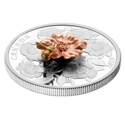 【海寧潮】加拿大2019年大黄蜂与野玫瑰3D立体5盎司银币原价4800