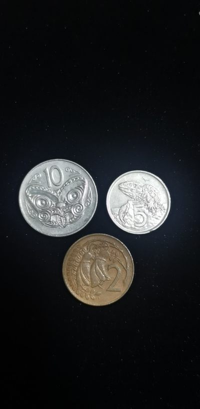 轻松集币无压力 - 新西兰一组