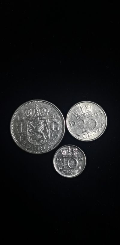 轻松集币无压力 - 荷兰一组