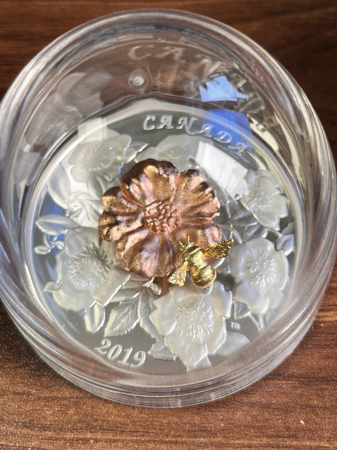 【海寧潮】加拿大2019年大黄蜂与野玫瑰3D立体5盎司银币原价4800