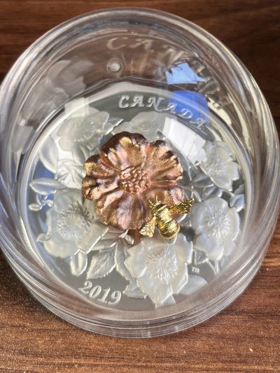 【海寧潮】加拿大2019年大黄蜂与野玫瑰3D立体5盎司银币原价4800