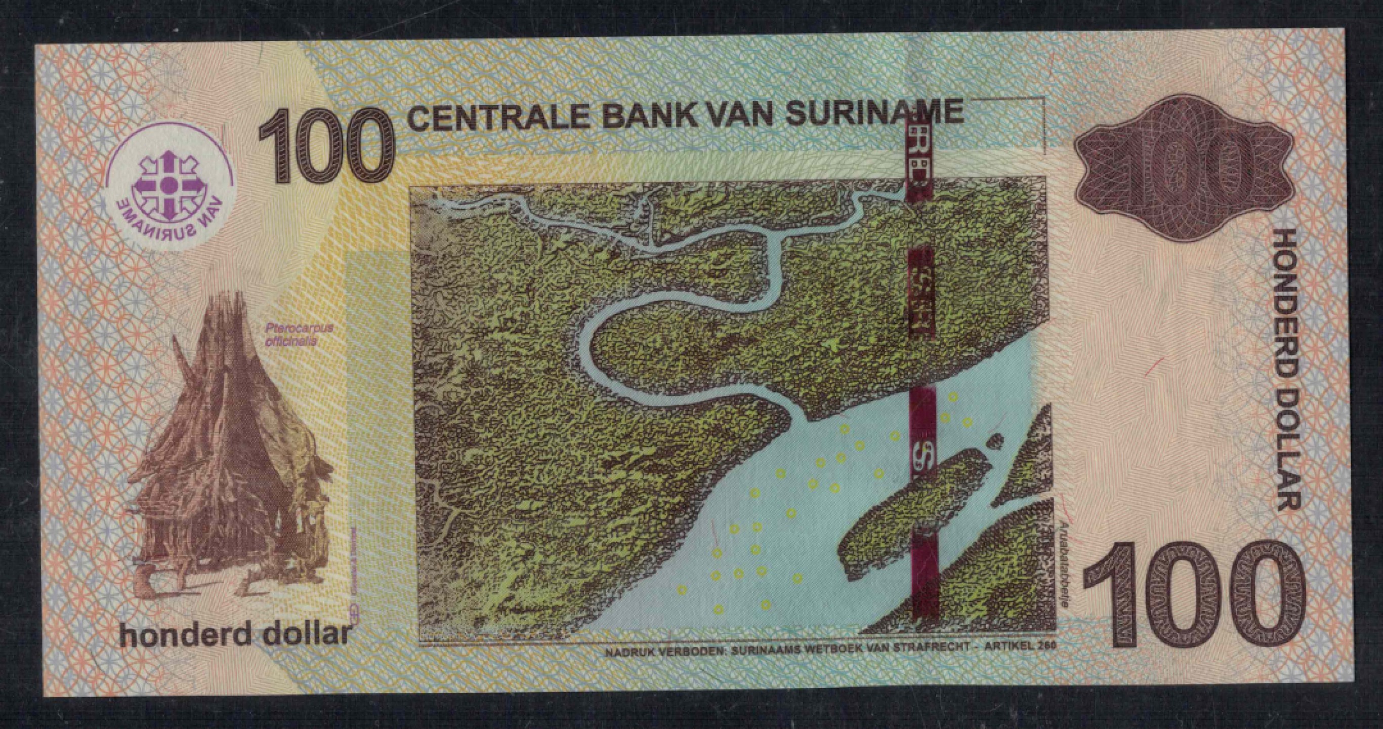 苏里南100元 2012年 P-166b 美洲纸币 实物图 UNC