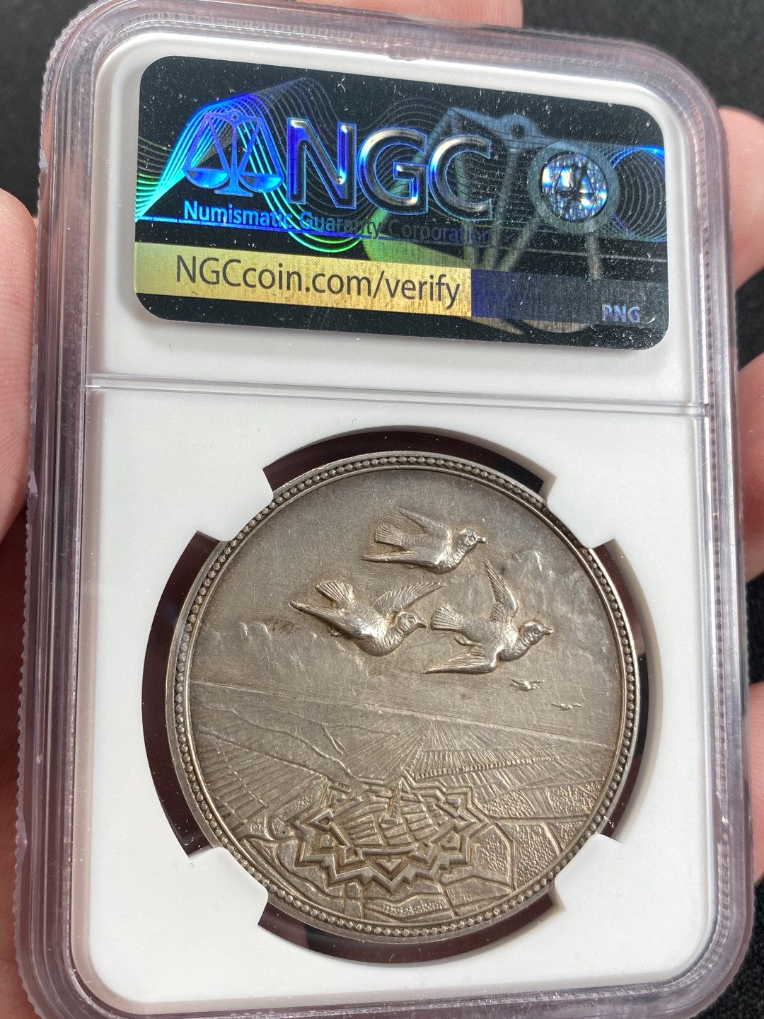 万国钱币拍卖第008期（慕尼黑2T之夜） NGC MS62 1898年荷兰王国威廉敏娜女王年轻头像信鸽比赛景观大银章 鸽子下方是经典的欧洲城市地图 少见