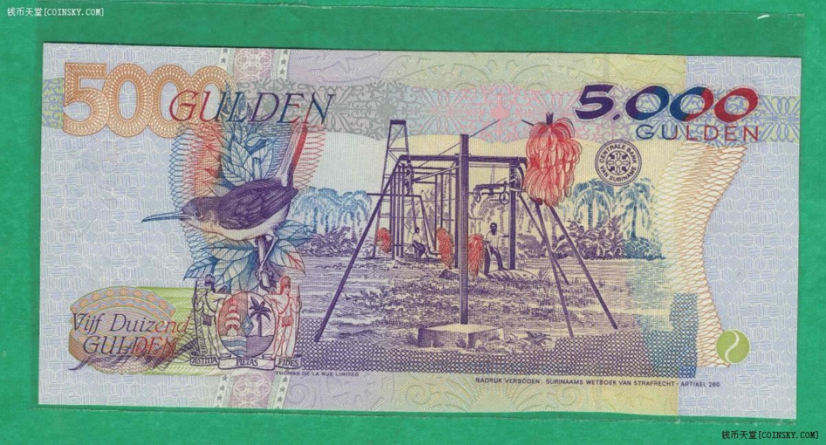 苏里南5000盾 1997年 无47 克劳斯P-143 美洲纸币 实物图 UNC