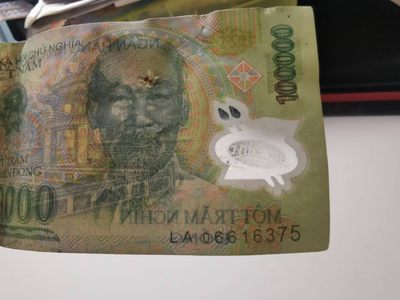 238.【鲸贝乐淘★两拍包邮】三字经·第“亲师友，习礼仪”号拍卖 【塑料假钞★越南🇻🇳】2006年100000盾，趣味收藏，塑料钞假币，流通品相如图