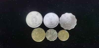 轻松集币无压力 - 港币一组（紫金花版）