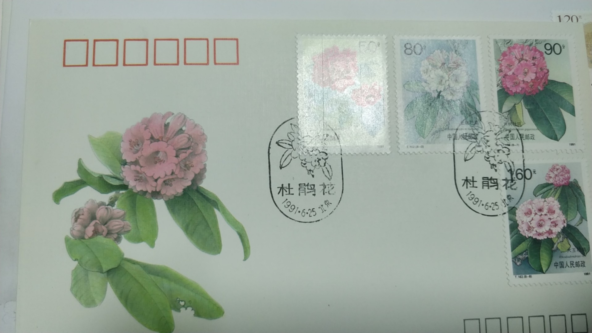 0起加1，放漏 1991年，杜鹃花