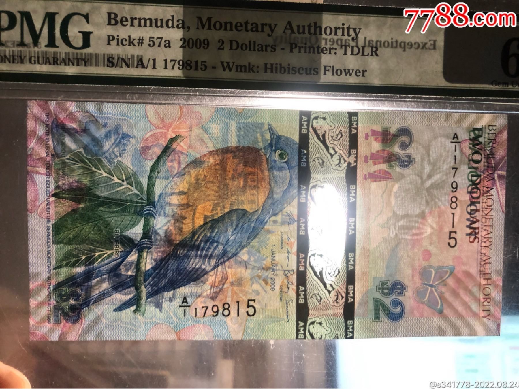 错版币 、外币专场 1374-B④百慕大2元蓝鸟钞纸币获奖币2009年A1冠‘PMG65EPQ