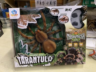 零元拍：遥控狼蛛模型，逗猫神器，全新无拆 - 零元拍：遥控狼蛛模型，逗猫神器，全新无拆