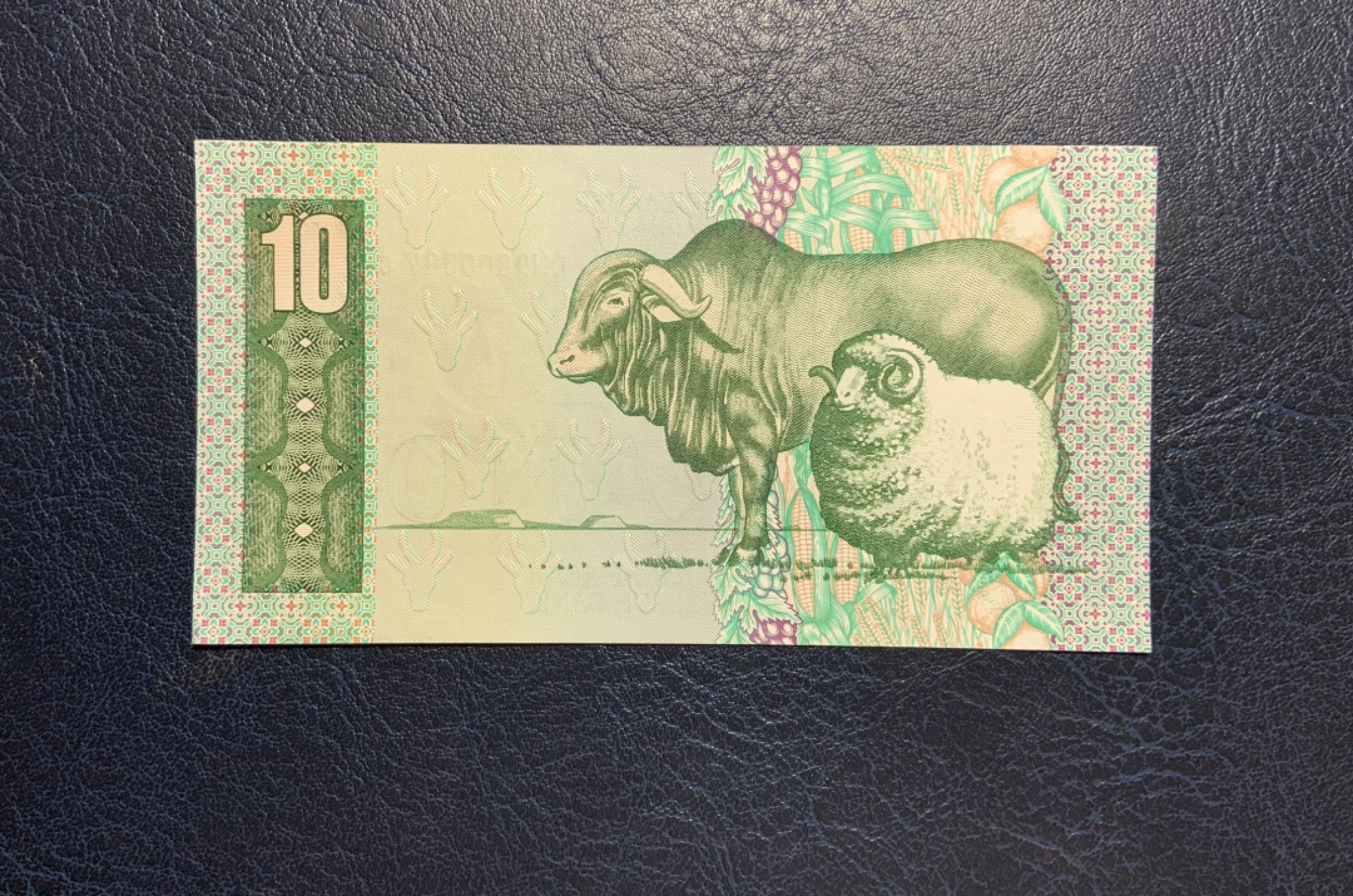 收藏联盟Quantum Auction 第258期拍卖  南非1978-93年10兰特 品相UNC 