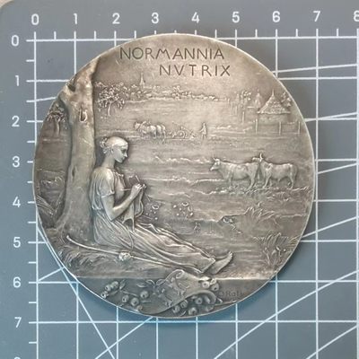 🌸奇货可居🌸 第九十二场 法国章牌专场 【最爱五月天】 - roty镀银铜章 国际殖民地大会