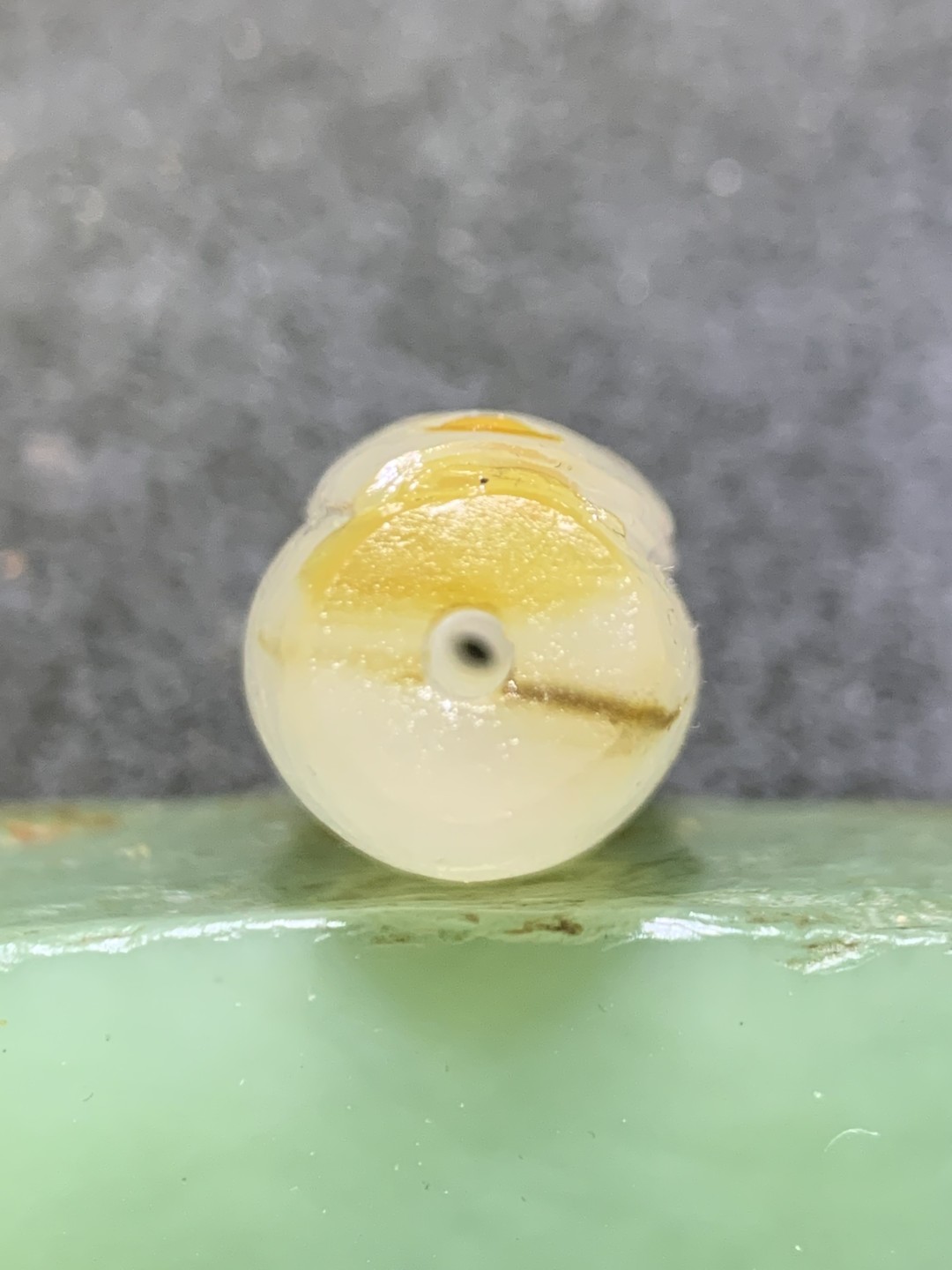 精美高玉化海洋玉髓手工俏色巧雕龙鱼大桶珠一个！