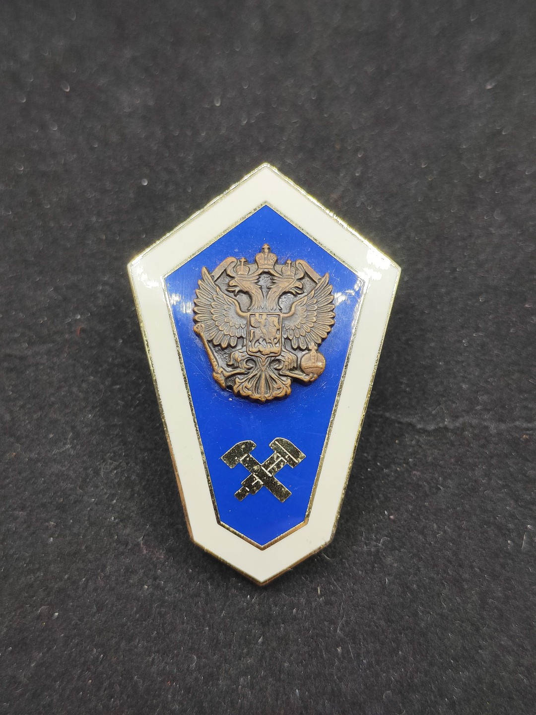 全场0元起拍 第56期 咸鱼国勋章拍卖专场 5月17日（周三）下午6：00开始 俄罗斯理工学院毕业证章-