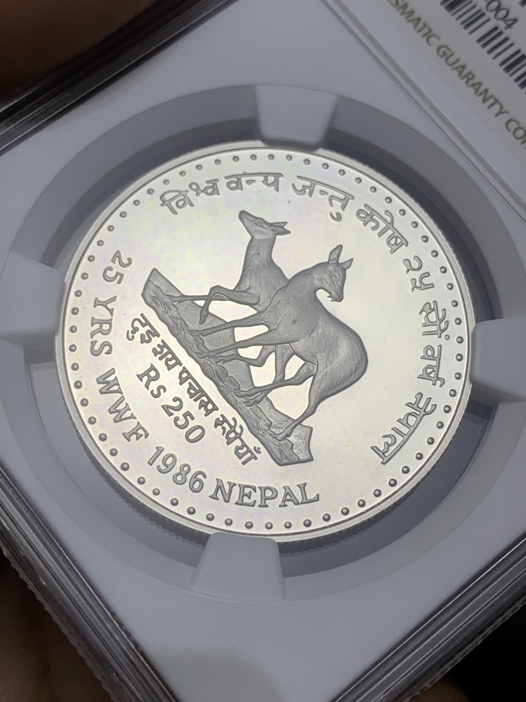 《竞宝斋》第164场-周日，周一，周四 3场 (全场包邮)